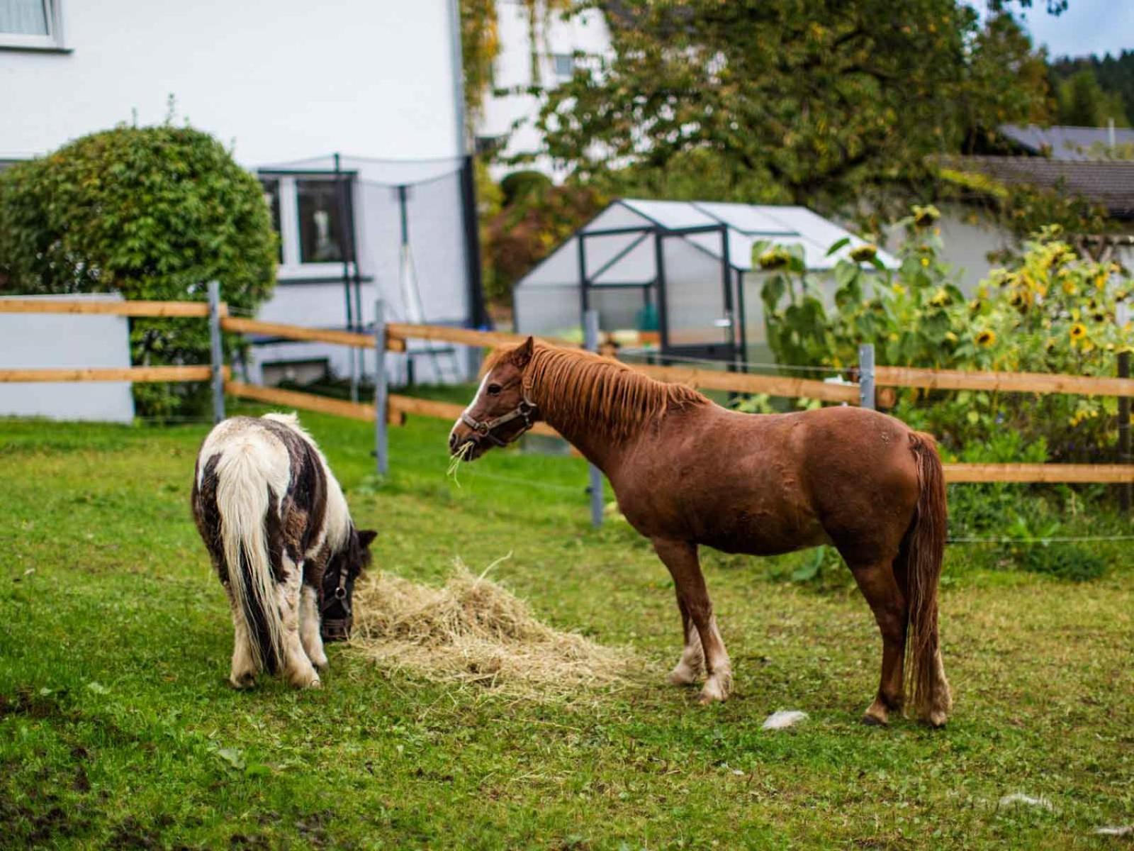Kornkammer Schmallenberg Exteriér fotografie