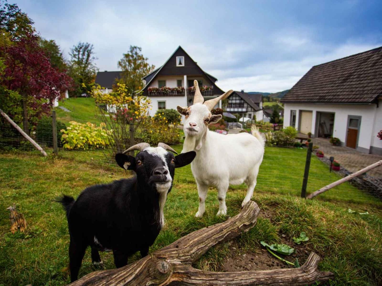 Kornkammer Schmallenberg Exteriér fotografie