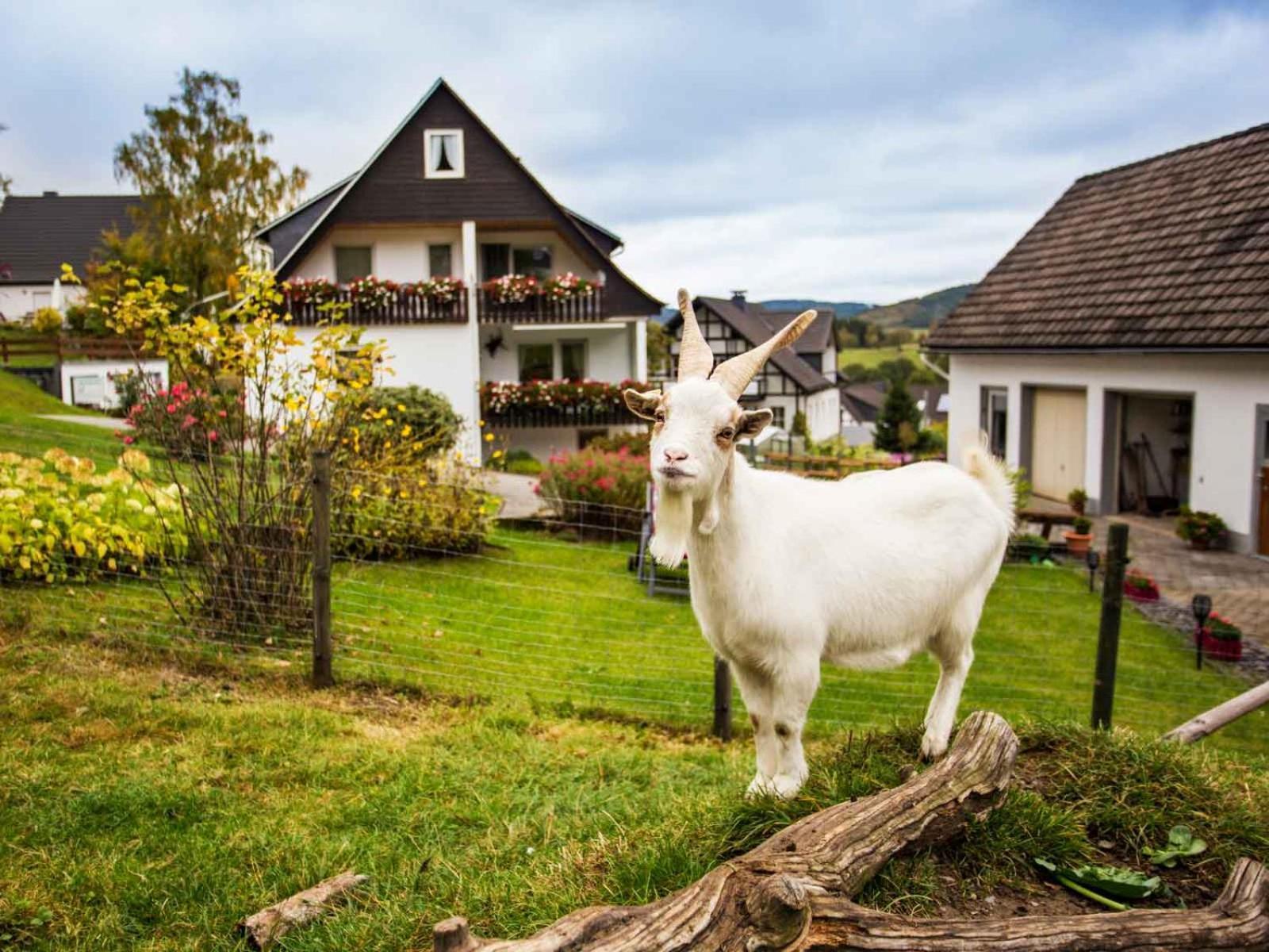 Kornkammer Schmallenberg Exteriér fotografie